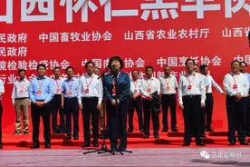 晋北肉类出口平台•2020山西怀仁羔羊肉交易大会开幕图片