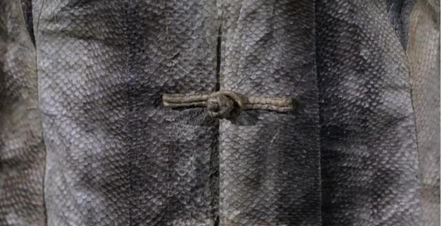 如何泡发干鱼皮 2026年怎么泡发干鱼皮 如何泡发干鱼皮 2026年怎么泡发干鱼皮