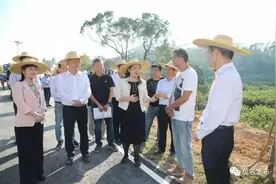 袁古洁到化州市调研：聚焦聚力空港经济区建设，奋力开创化州工作新局面图片