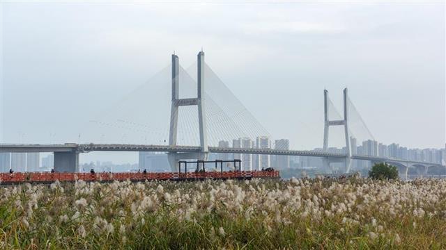 江岸是哪里啊（1200万网友选出江岸十大网红景点）