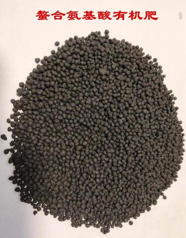 从另外的角度看氨基酸水溶肥料的作用