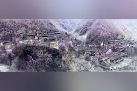 成都到兰州自驾途经地，有一个美丽的小山村，琵琶镇张坝村图片