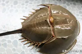 这款粿食味道好极了，但它的名字好多潮汕人都念不对，你能念对？图片