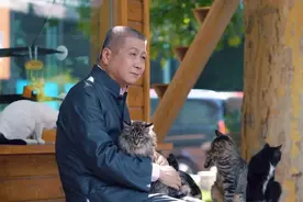 马未都：搞收藏这么多年，它是我见过唯一贬值的东西图片