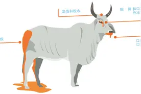人类只成功消灭过2种病毒，第2种曾让一个大陆崩坏图片