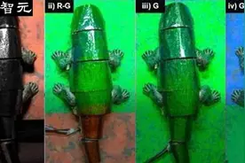 热搜第一！韩国研发变色龙软体机器人，打造哈利波特「隐形斗篷」图片