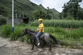 马背上的外卖小哥，几乎每天跑单到半夜两点，养活一家6口人图片