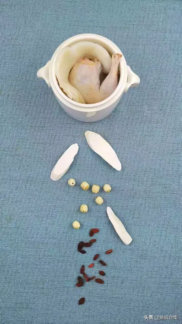 花胶海底椰鹌鹑汤 花胶海底椰炖鸡汤作用与功效