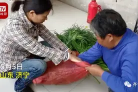 女儿返程，打开后备箱惊呆众人：妈妈塞了80斤大蒜图片