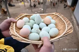 农村大姐养鸡方法少见，母鸡产下“罕见”鸡蛋，给多少钱都不卖图片