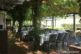 新西兰 奥克兰 石脊酒庄图片