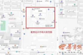 西安大寨路区域公办学校建在哪?秦美花卉市场将调整为教育用地图片