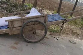 鲁西南方言也有字——攚（wěng）图片