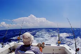 海钓客放生大海的鱼，为什么要在鱼肚子上戳一个洞？图片