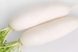 十月萝卜赛人参，这几种吃法请收好图片