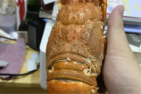 清蒸小青龙图片