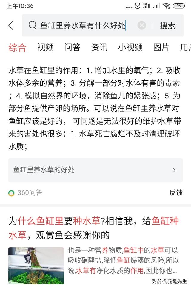 辟谣：水草不能代替硝化细菌处理鱼缸氨氮？其实水草除氨效果更好