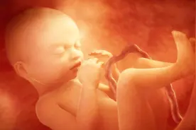 “早生贵子”，男宝更容易提前发动？别忽悠孕妈，看完心里有底了视频封面