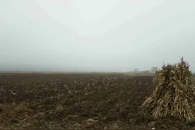 土地流转，补贴谁来领？三大补贴农民领不到，这些问题农民需注意图片