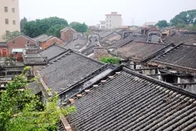 赤坭莲塘：小时称“钟大狗”“掹鸡杰”，后来成上海“集邮大王”图片