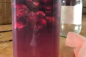 玫瑰花醋，女人想美想白都可以看过来，制作方法很简单图片