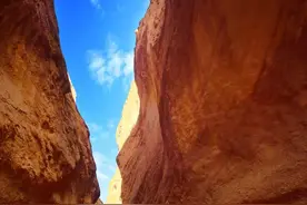 新疆18怪，令人目瞪口呆图片