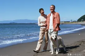 疫情影响下泰国芭堤雅别墅行情一瞥图片