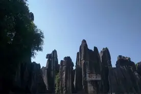 每天发多张朋友圈的人是不是有心里疾病啊图片