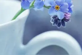 俗话说言多必失，5句说话的技巧艺术，值得我们学习借鉴图片