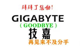 轰然倒下的“技嘉”的背后，是魔幻的显卡市场图片
