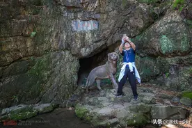 杭州人为何钟情于这只瘦小的石老虎，老人说有60岁了，你知道吗？图片