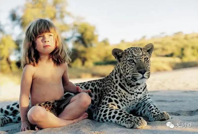 经典绘本大推荐