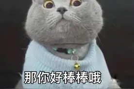 表情包大全 | 您在教我做事？图片