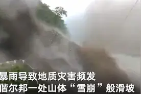 印度暴雨致山坡“雪崩”般滑坡，长桥不堪洪水冲击轰然崩塌图片