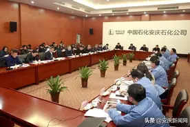 陈冰冰在安庆石化调研时强调加强政企合作 推动千亿产业加快实现图片