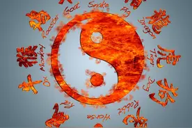 十二属相各有持色，看看你的属相何等性格？图片