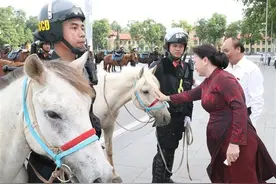 越南版骑兵部队亮相首都巴亭广场，马背上的金星红旗威武雄壮图片