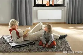 舒适节能，藏在菲斯曼冷凝壁挂炉里的「秘密」图片