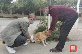 通知！春季狂犬病高发，快带你家狗狗去打狂犬疫苗！图片