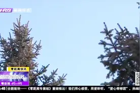 全国“好空气”排行榜出炉，黑龙江省13地市“气质”均入前20名视频封面