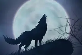 拆书稿《狼王梦》图片
