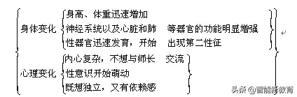 七年级下册生物期末考试复习提纲，内容全面，考点丰富