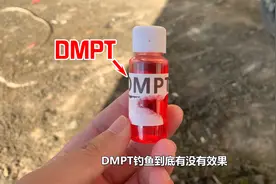 DMPT是什么？用它钓鱼到底有没有效果？图片