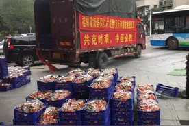 颗颗甜果寄深情！广西果农驰骋千里送果慰问广西驰援湖北医疗队队员图片