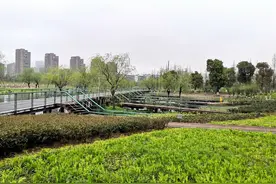 东部生态走廊--书香景苑南片区图片