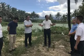 省水务厅总工程师任松长到陵水县开展农业水价综合改革工作调研图片