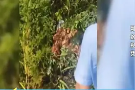德惠一女子竟将刚诞生一天的男婴扔在农村草丛中！警方发出通报图片