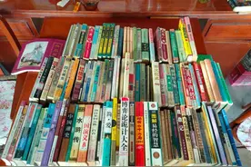 看着这些藏书，它似乎在预示着我要走上以写作谋生的道路图片