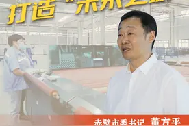赤壁市委书记董方平：做好三个“口碑”打造“未来之城”——拉练进行时图片