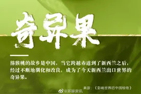 这些知识↓你都知道吗？橙子是橘子和柚子杂交而来图片